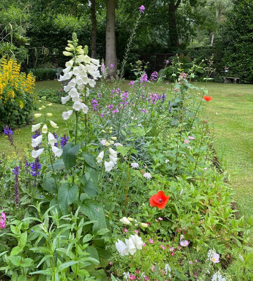 The Cabin, Roundabout Lane Casa vacanze West Chiltington